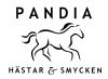 Pandia Hstar & Smycken